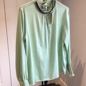 Beautiful pastel green top by coverstory, new, never worn, Size Large.